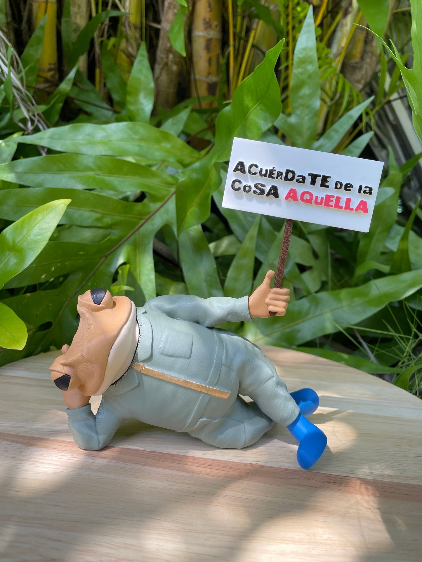 Sapo Concho Acostao
