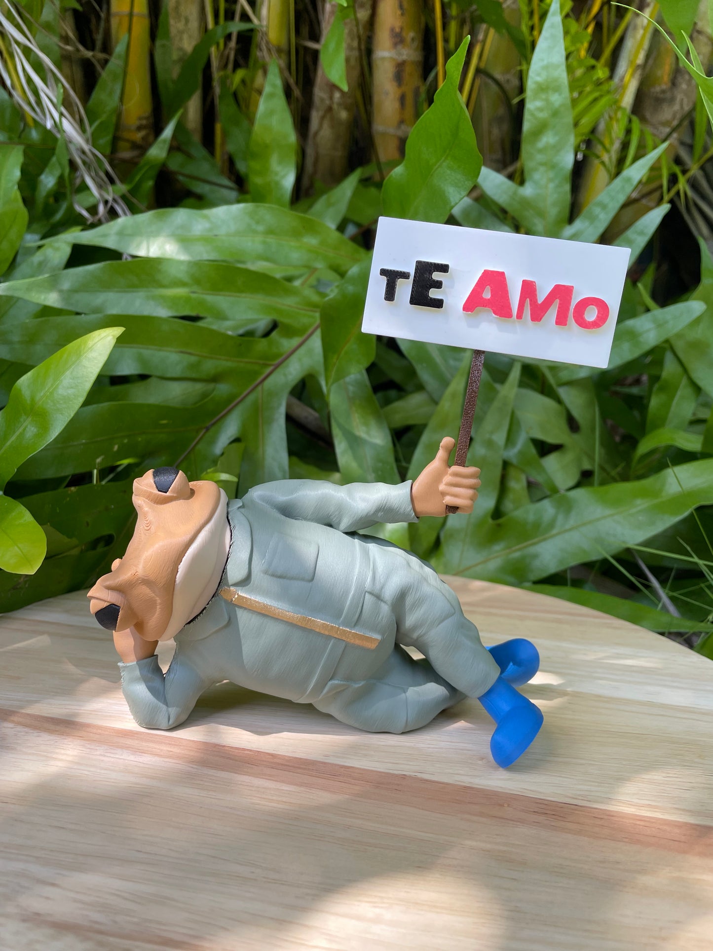 Sapo Concho Acostao