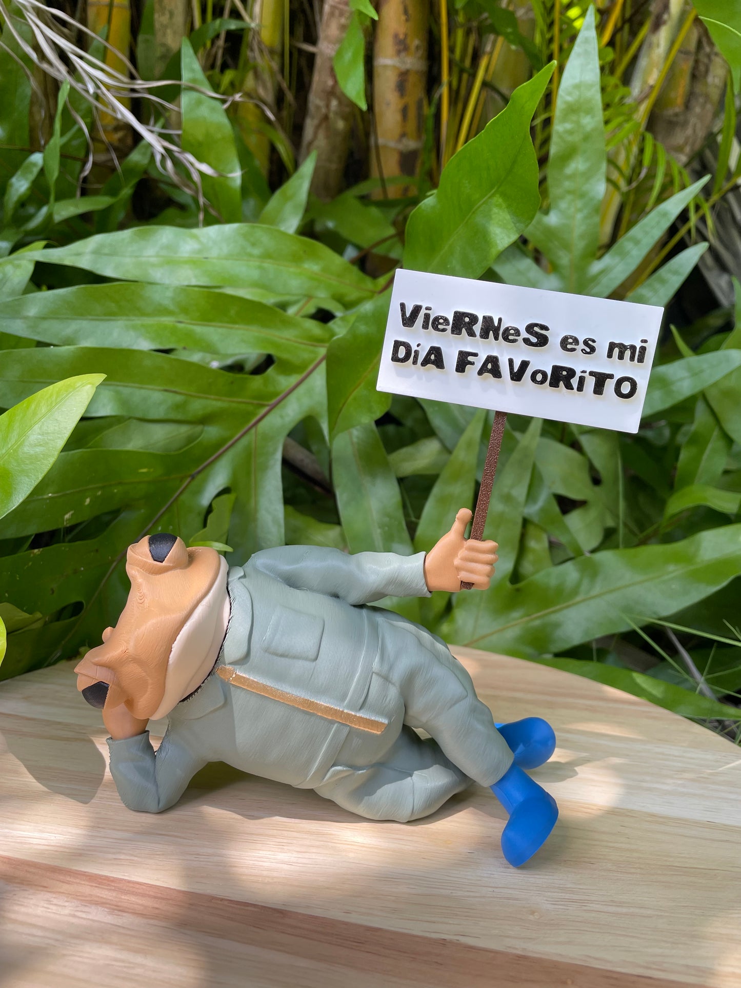 Sapo Concho Acostao