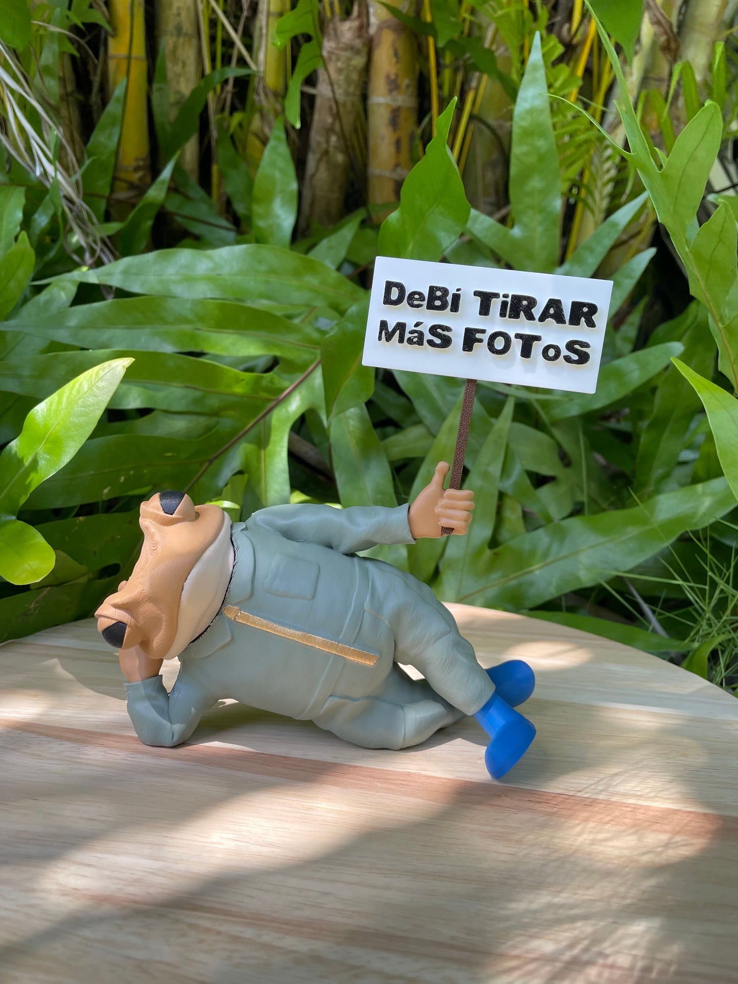 Sapo Concho Acostao