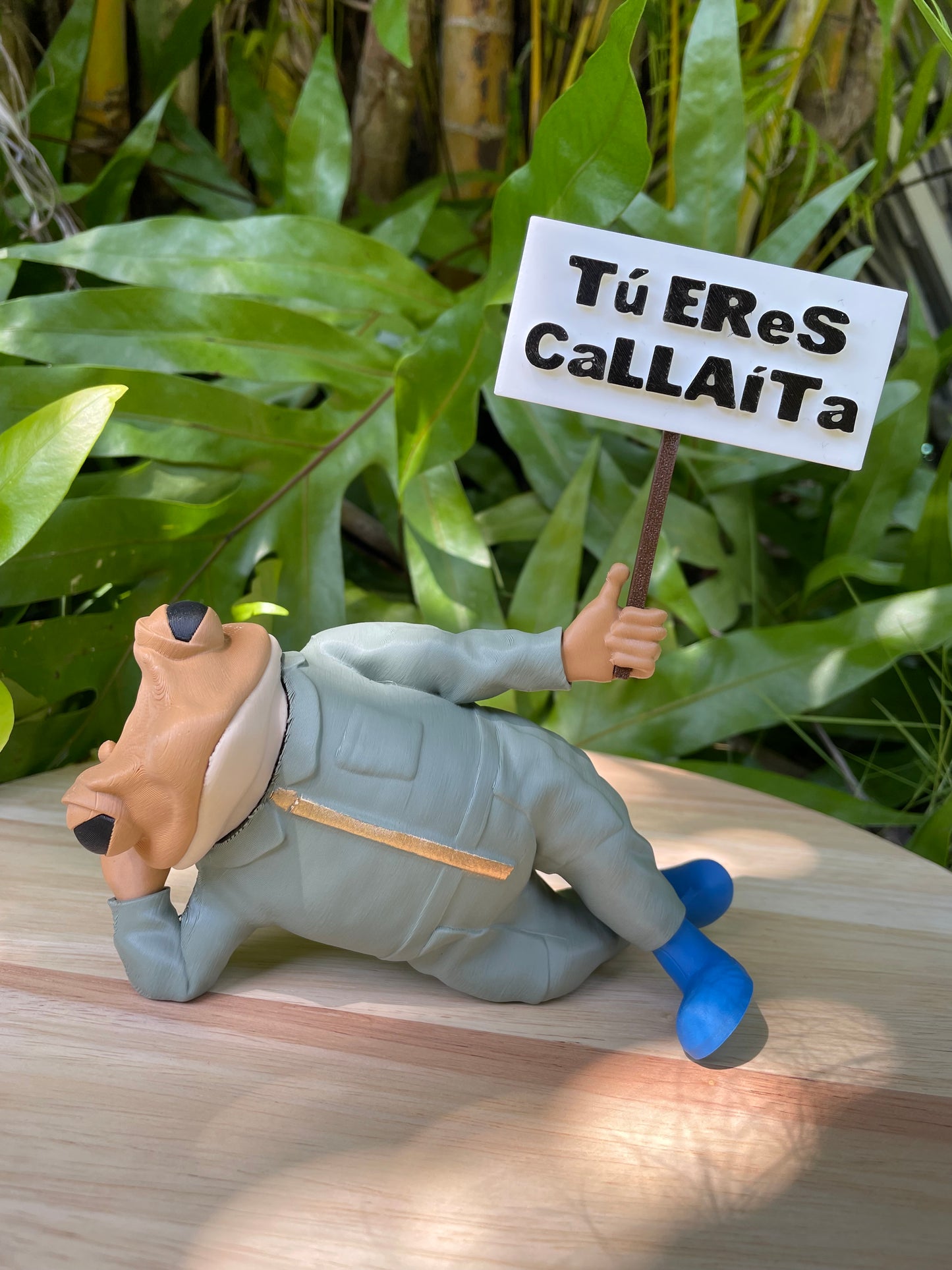 Sapo Concho Acostao