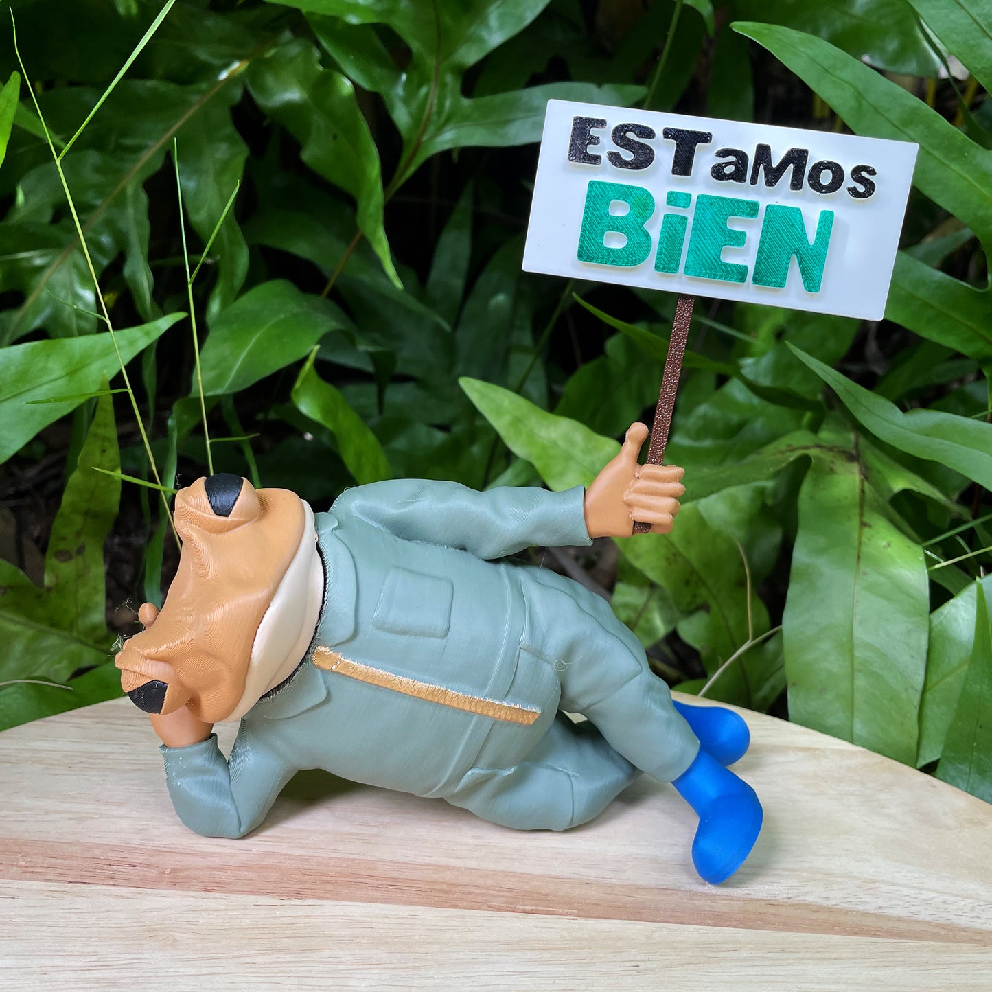 Sapo Concho Acostao