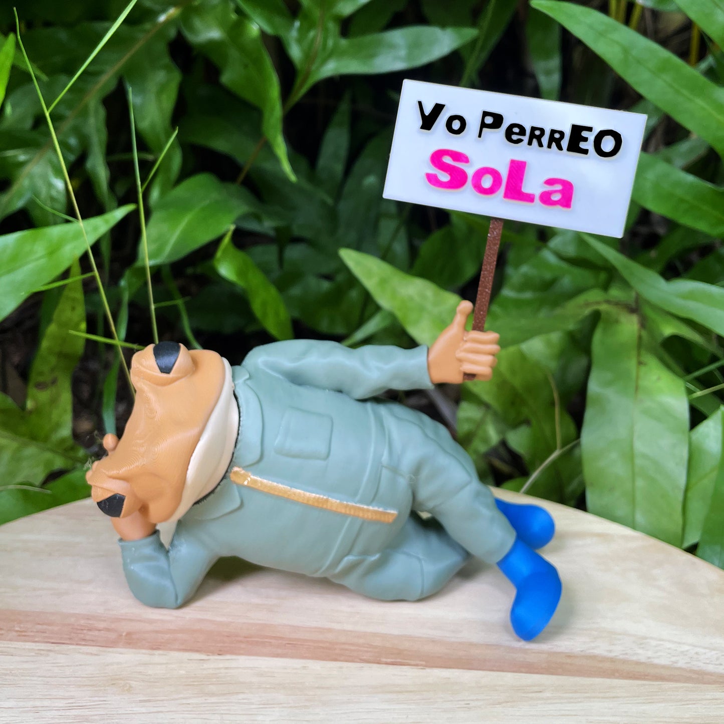 Sapo Concho Acostao
