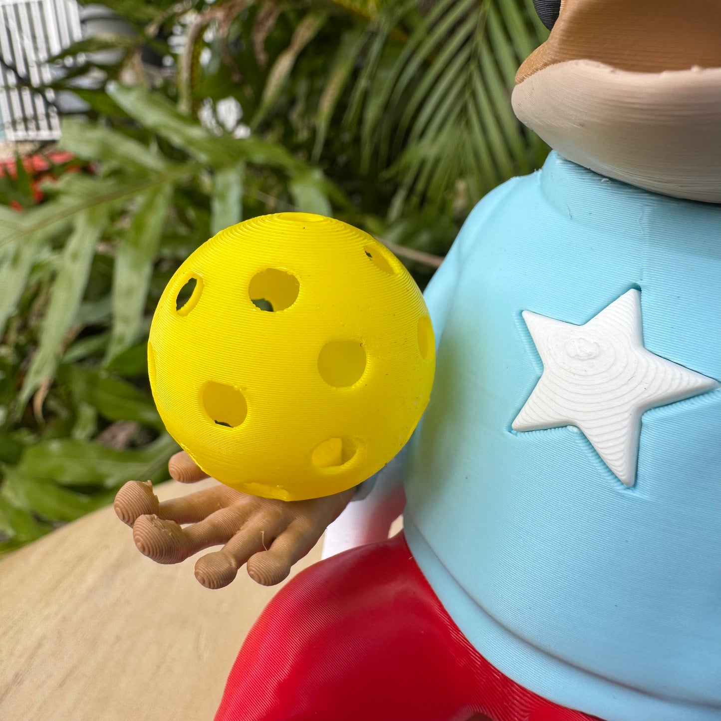 Pickleball Accesorio Magnético