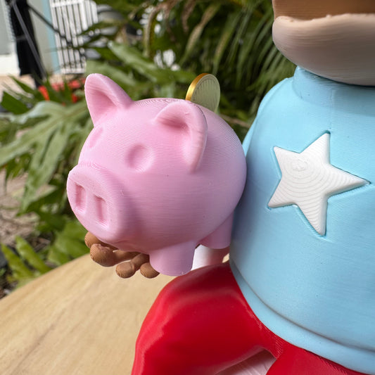 Cochín Accesorio Magnético