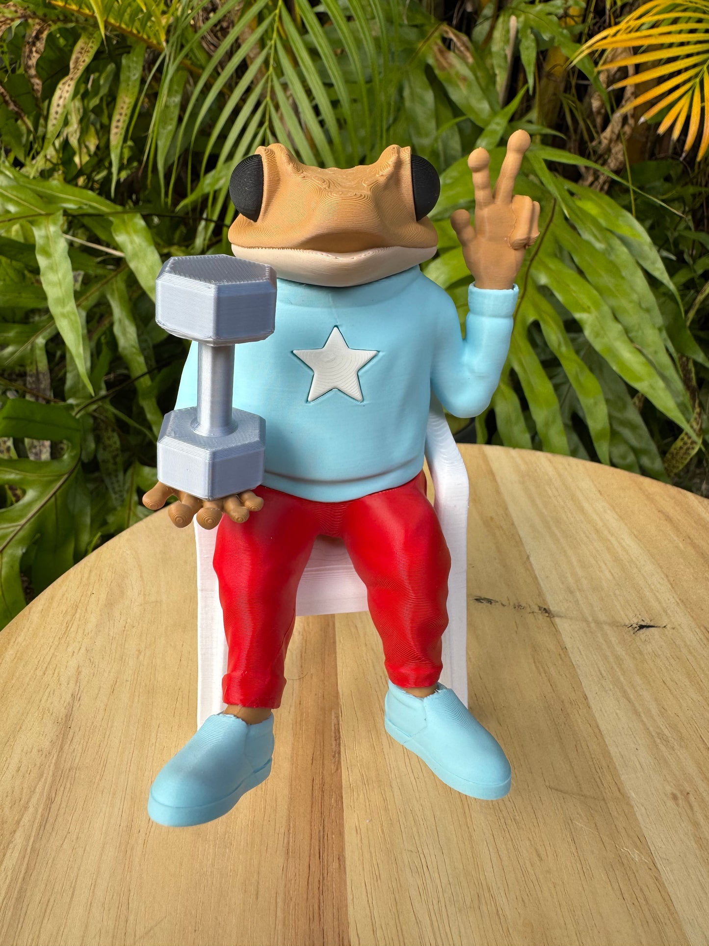 Pesa Accesorio Magnético