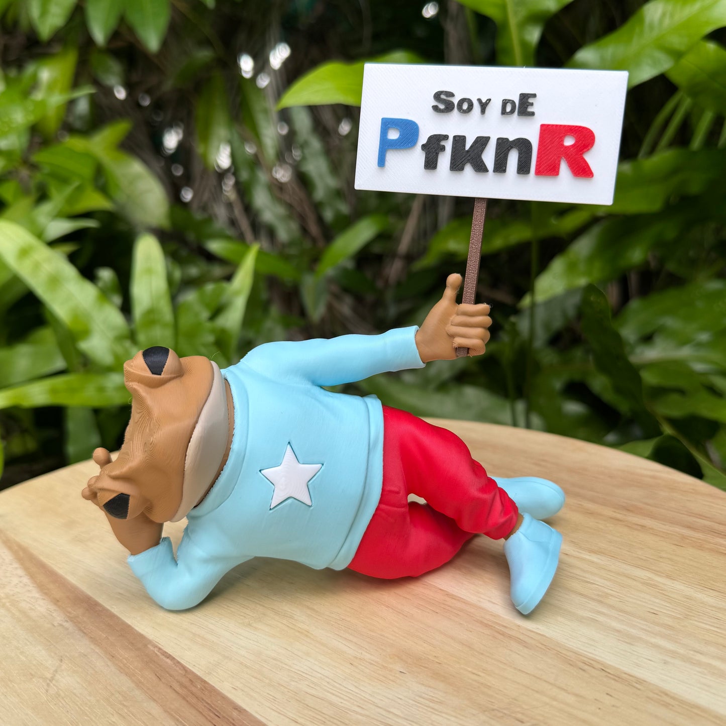 Sapo Concho Patria Acostado