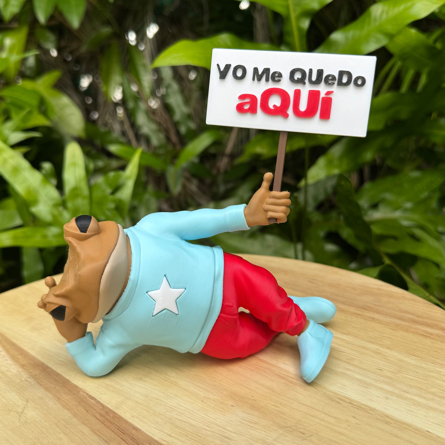 Sapo Concho Patria Acostado