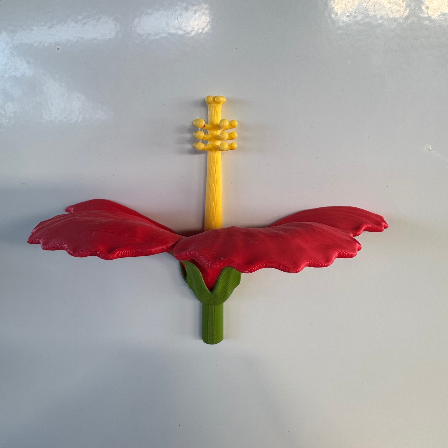 Magnetos de Amapola para Nevera