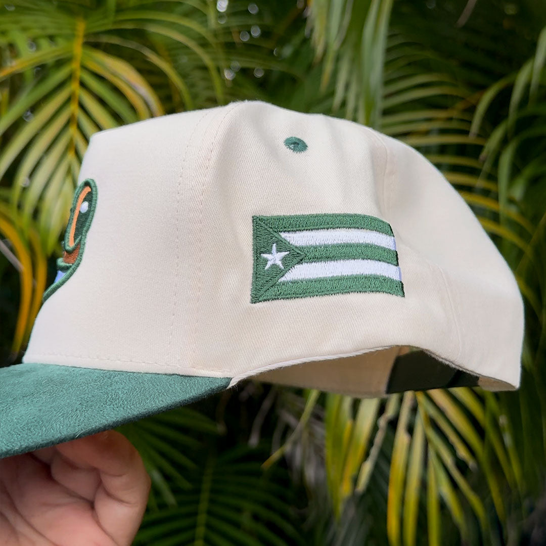 Gorra Duotono Verde