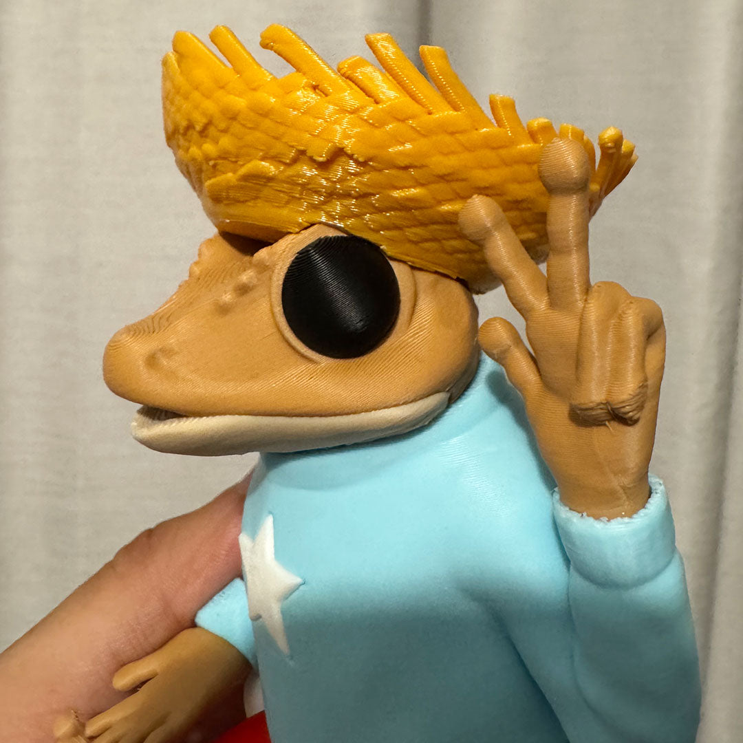 Pava para Sapo Concho