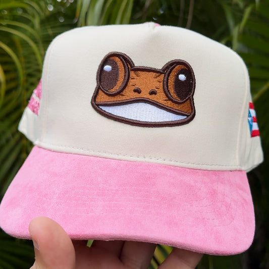 Gorra Duotono Rosa